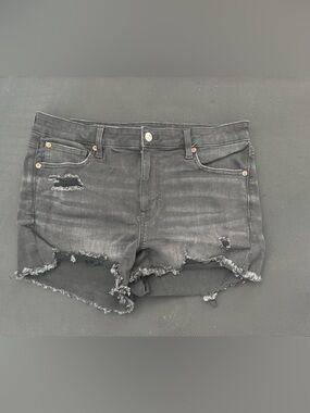 American Eagle Denim Shorts - 14